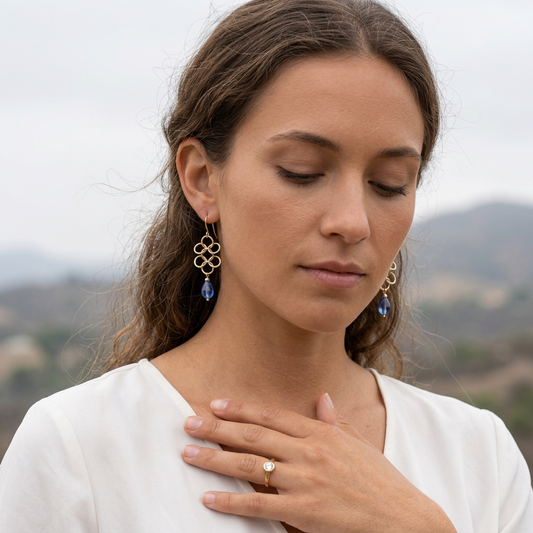 Blue Crystal Chainmaille Earrings
